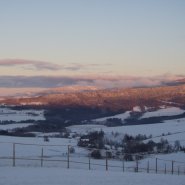 panorama.JPG